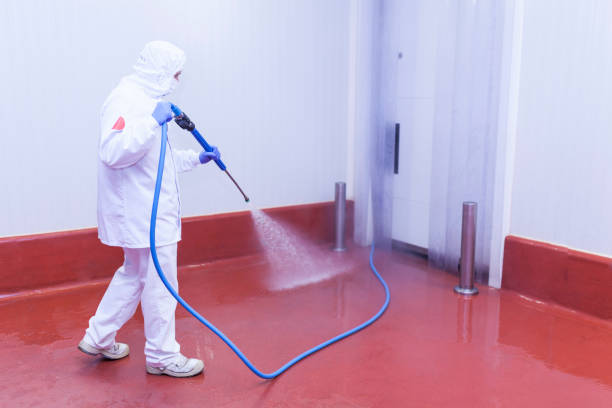 Pre-Holiday Cleaning in Carmel, IN
